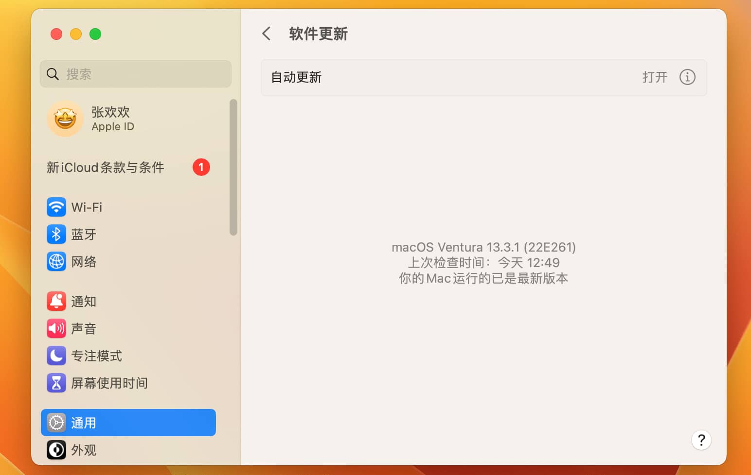 macOS Ventura 13 带 OpenCore and PE 多分区原版黑苹果镜像