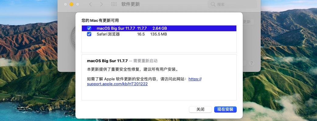 macOS Big Sur 11 带 OC and Clover and PE 三EFI分区原版DMG黑苹果镜像