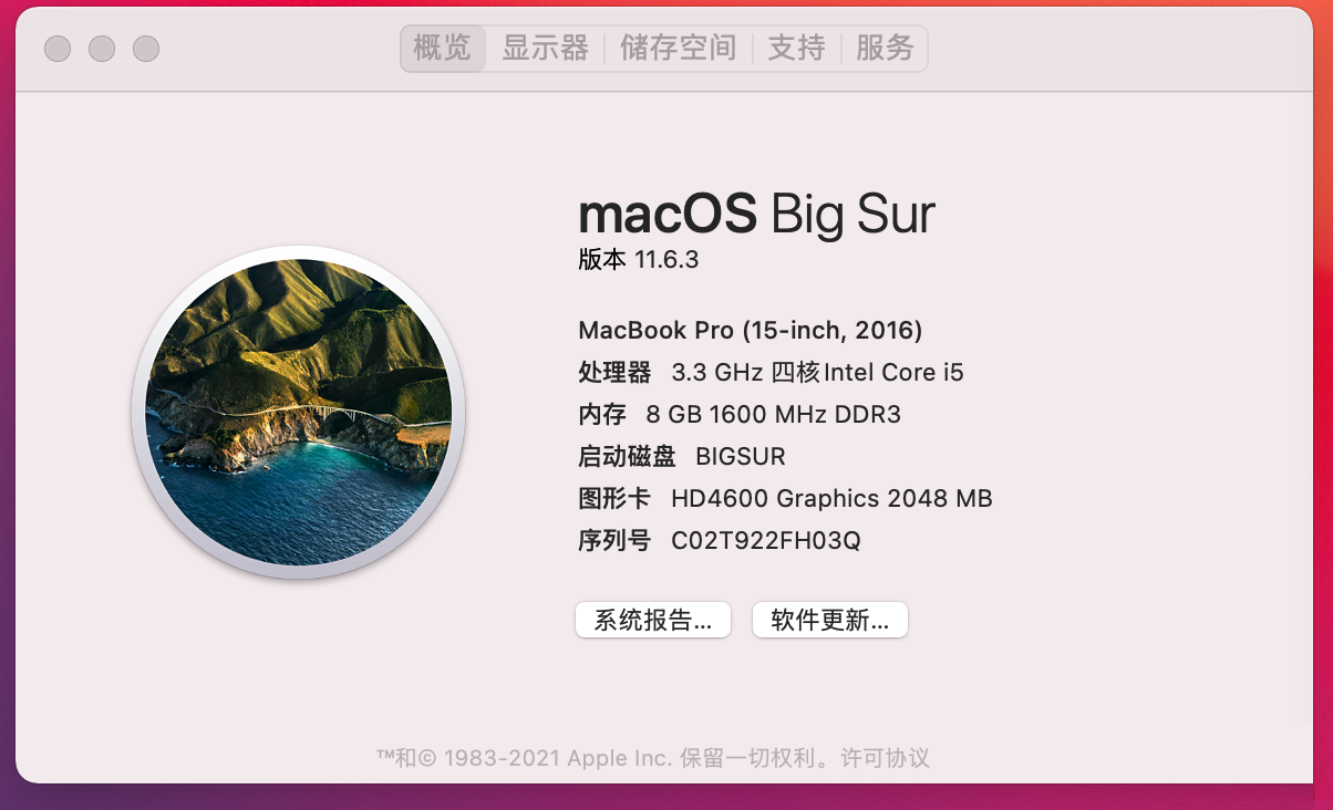 macOS Big Sur 11 带 OC and Clover and PE 三EFI分区原版DMG黑苹果镜像